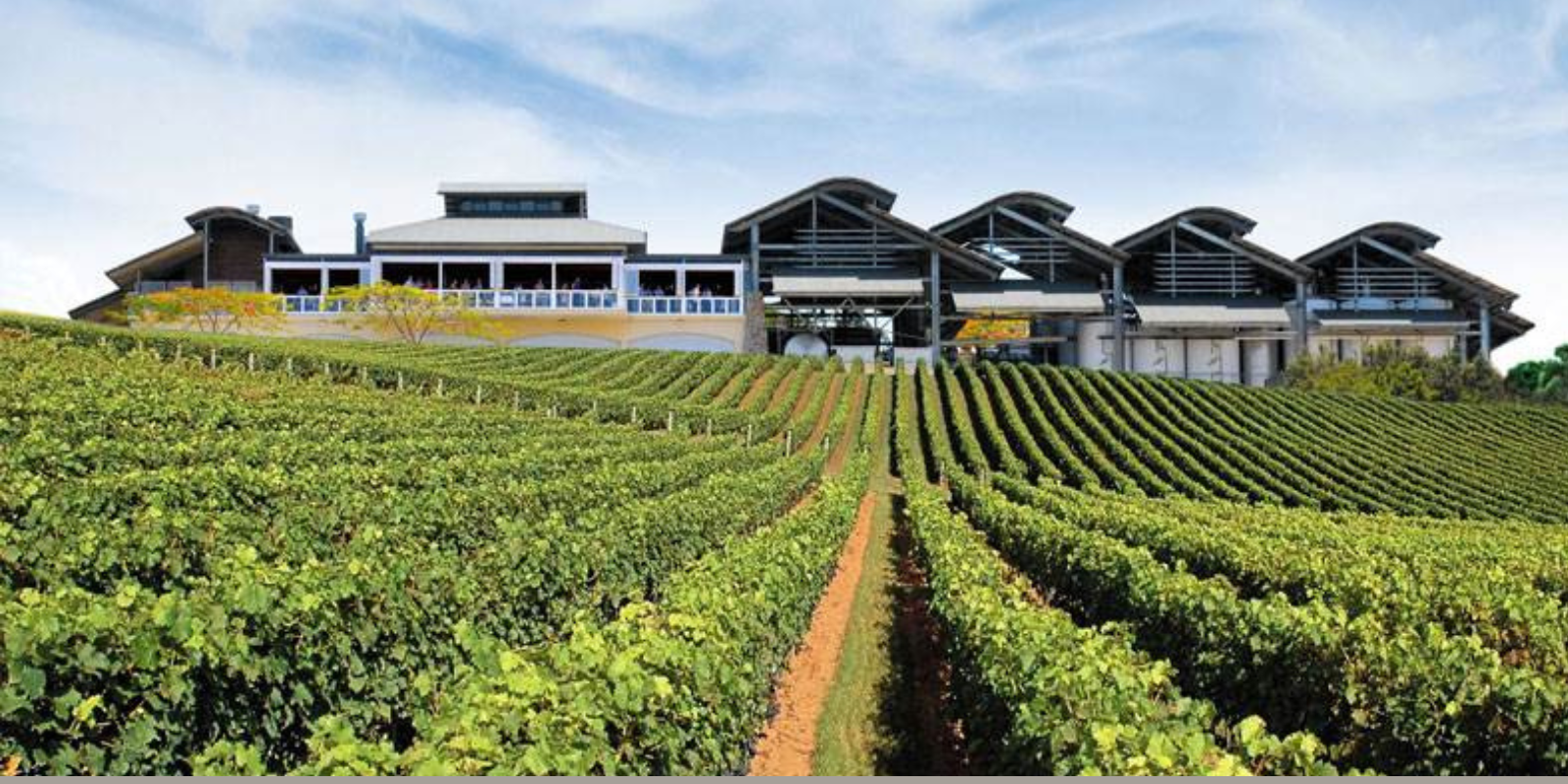 QLD州最大級のワイナリー Sirromet Wines